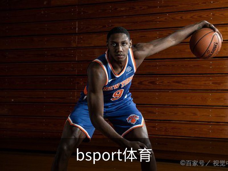 了解bsport体育
